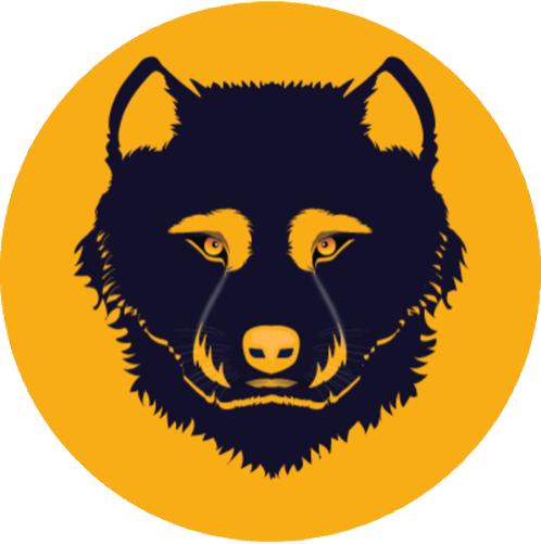 Return of Shiba Launches ShibDOSH - The World's First Gold Paying Rebase Algorithm