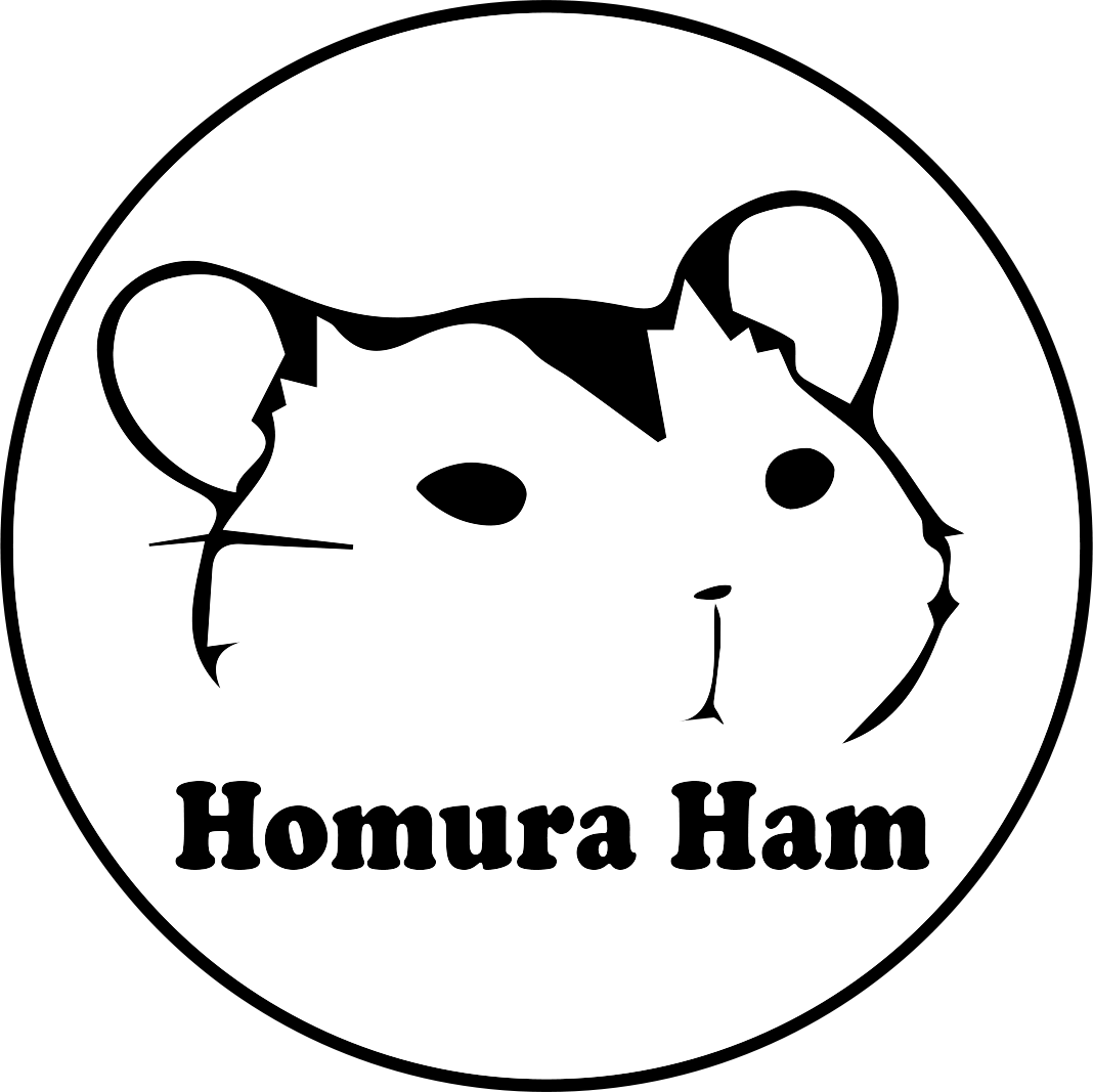 I Created A Maze Inspired By Minecraft And Let My Hamster Homa Explore It