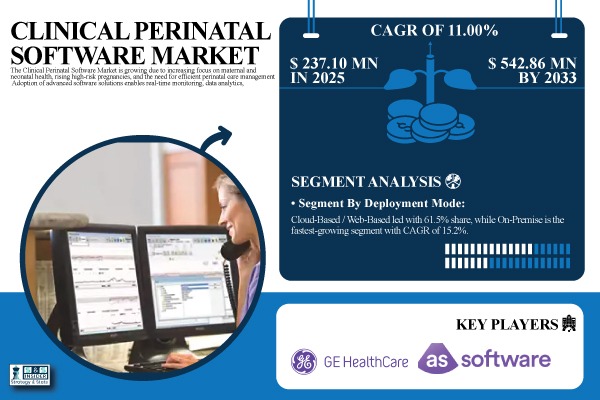 Clinical Perinatal  <a href='/stock/profile/1481-software-ag'>Software AG </a>  Market