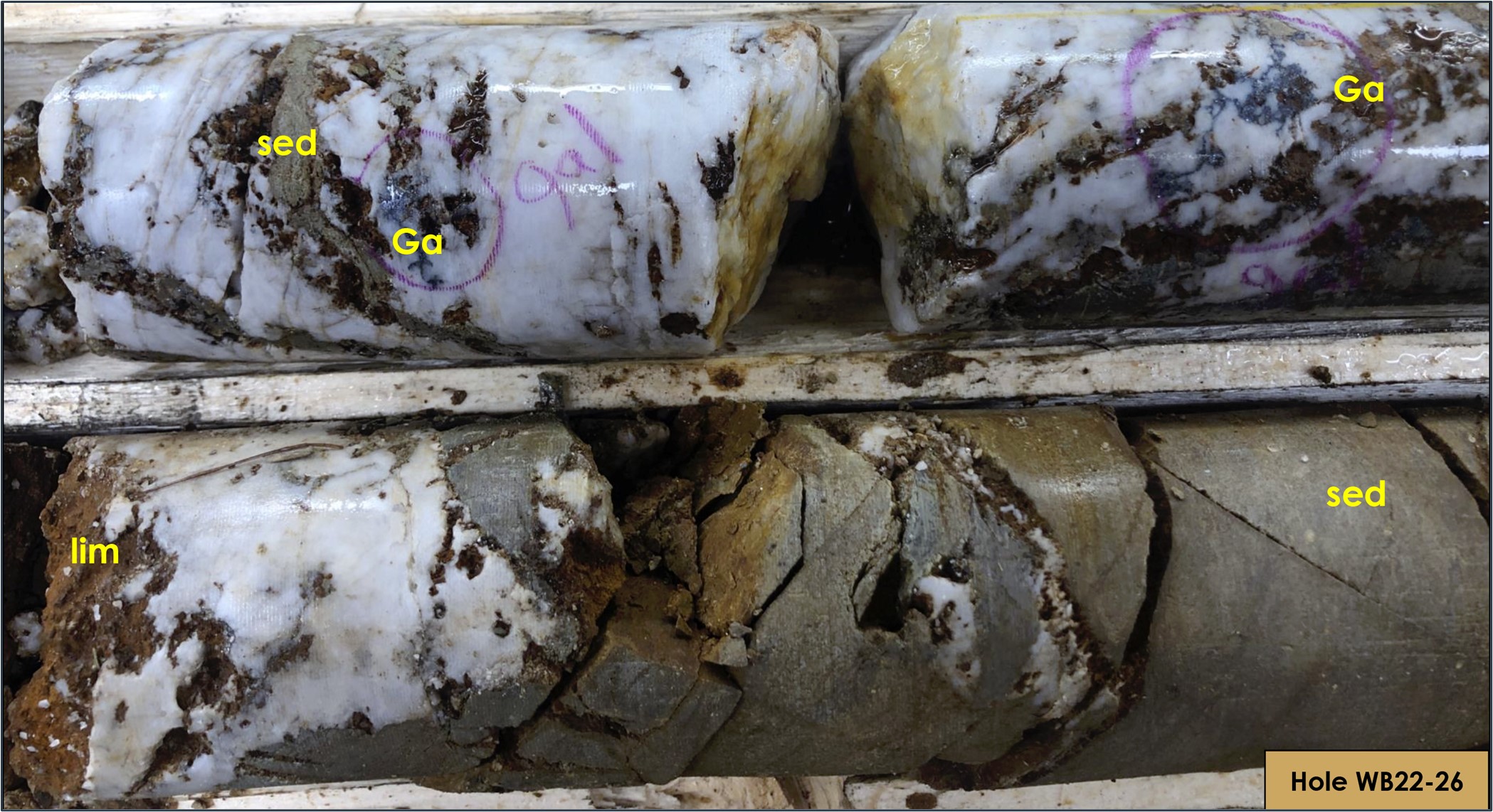Figure 3: Typical quartz vein brecciated and mineralized in sediment (hanging wall)