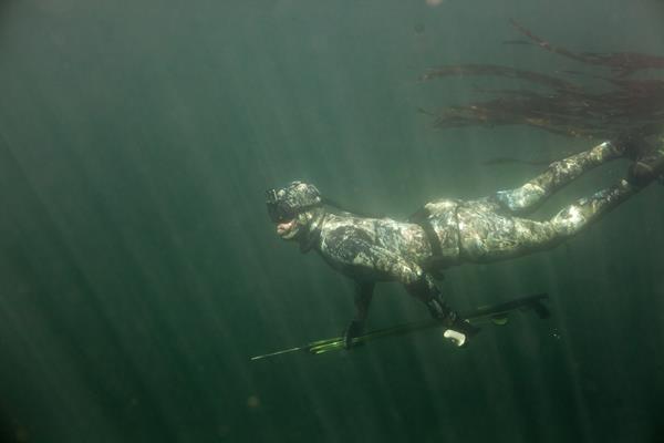 Spearfishing in Tofino, British Columbia