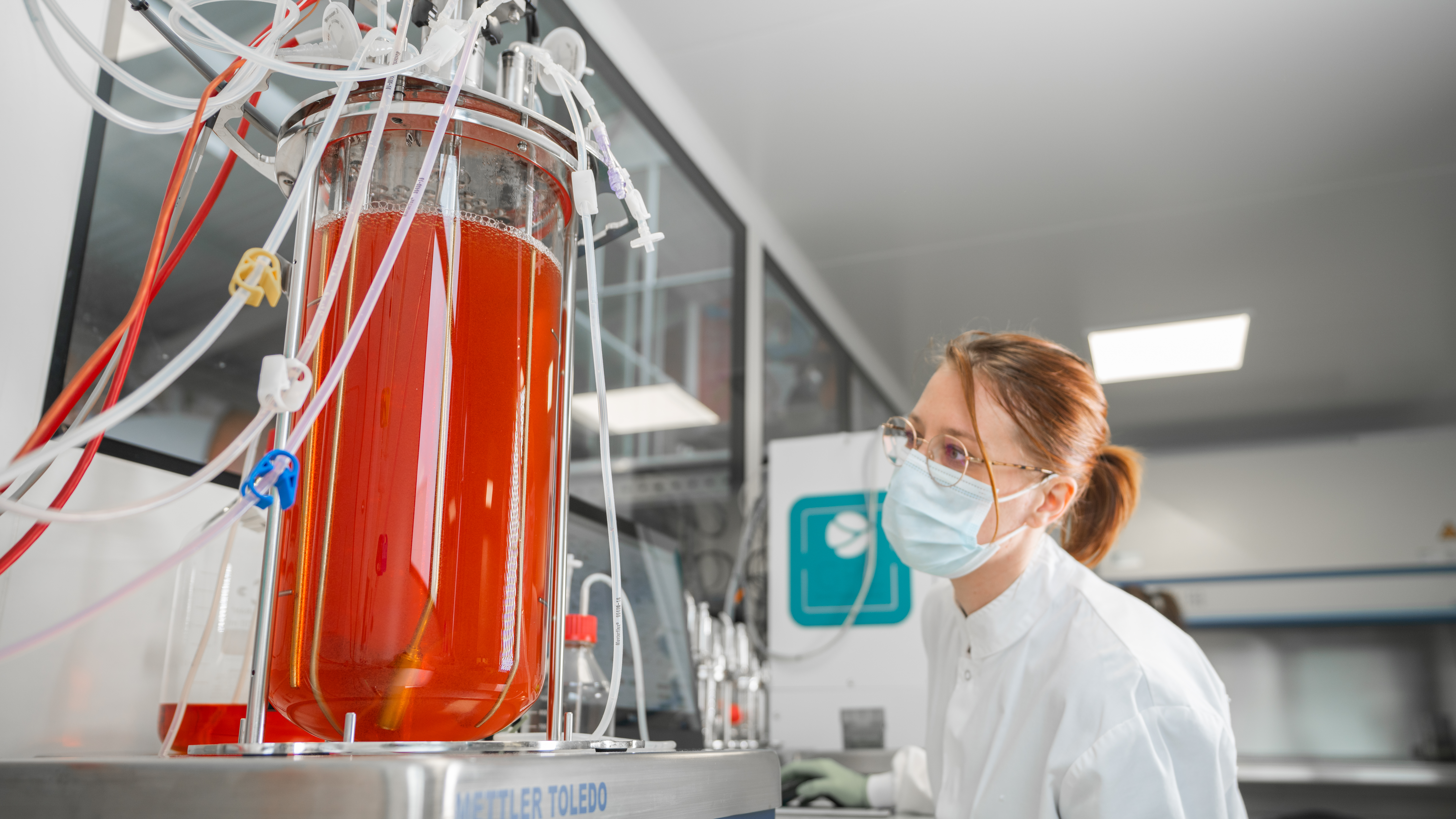 Mass-production of human induced pluripotent stem cells in a 10L bioreactor using TreeFrog Therapeutics’ C-Stem™ technology. Photo credits: TreeFrog Therapeutics