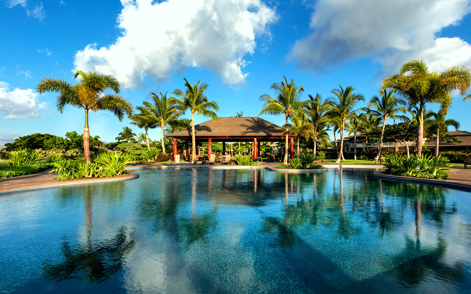 A True Tropical Paradise