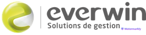 Logo-Everwin.png