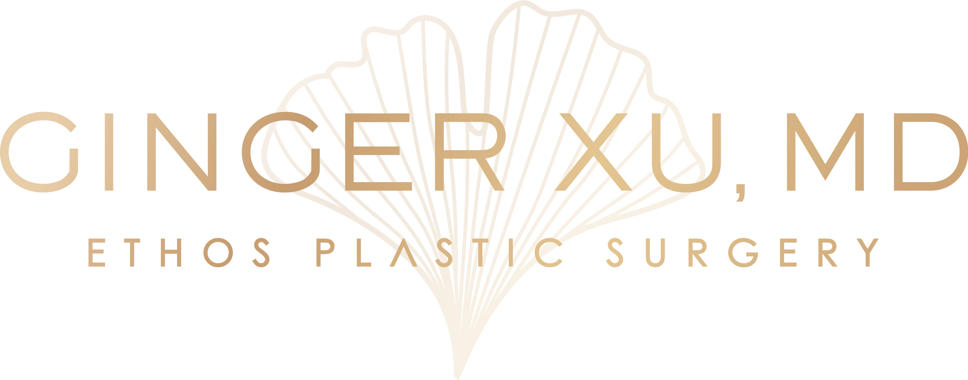 Stanford- and Harvar