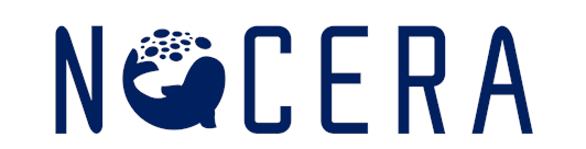 Nocera, Inc. Announces Second Quarter 2022 Financial Results