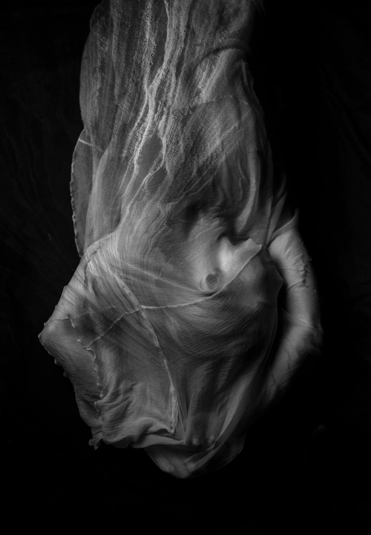 Maria Kreyn "The Veil III" 