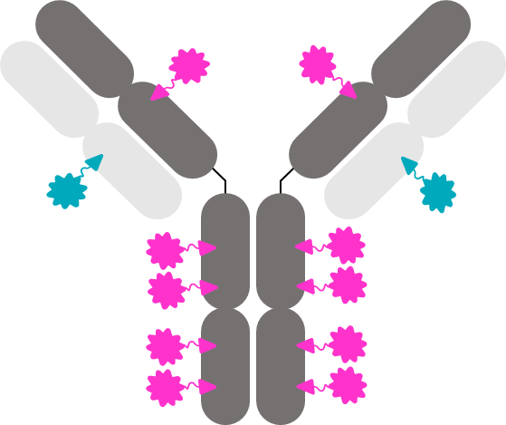 Sutro unveils unique cell-free capabilities