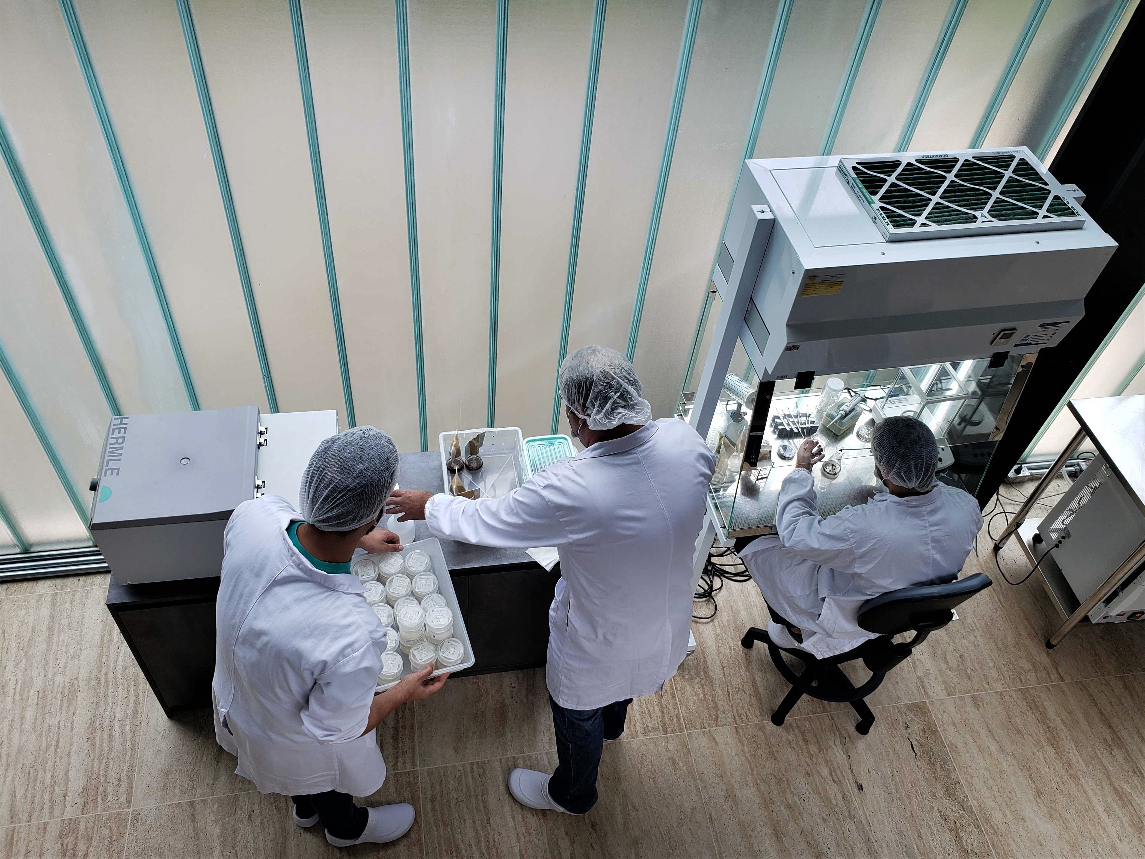 Scientists working in the Lab