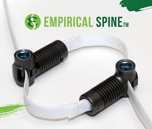 Featured Image for Empirical Spine