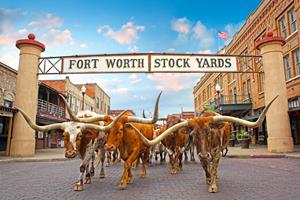 Fort Worth Stock Yards and The Herd