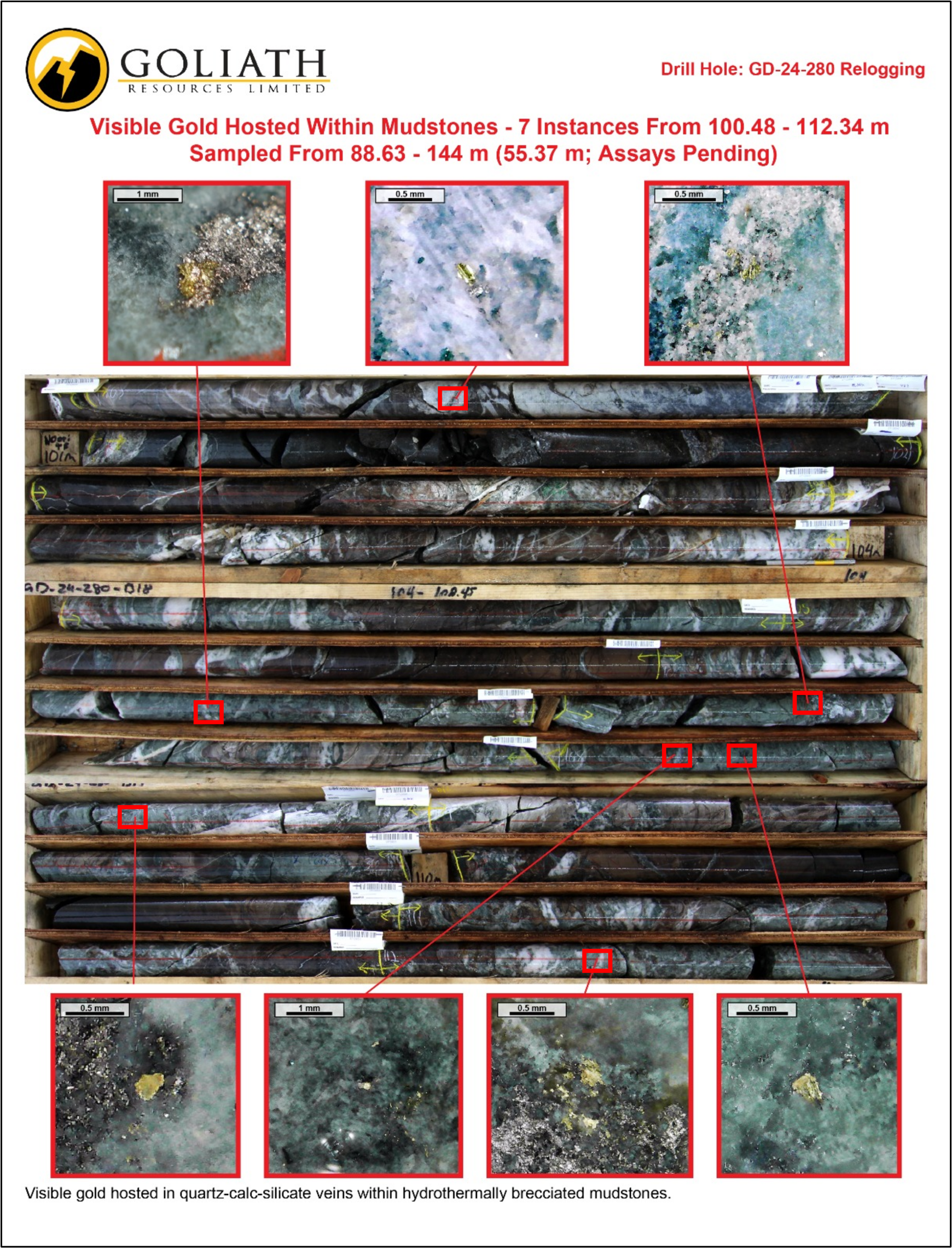 Infographic 3