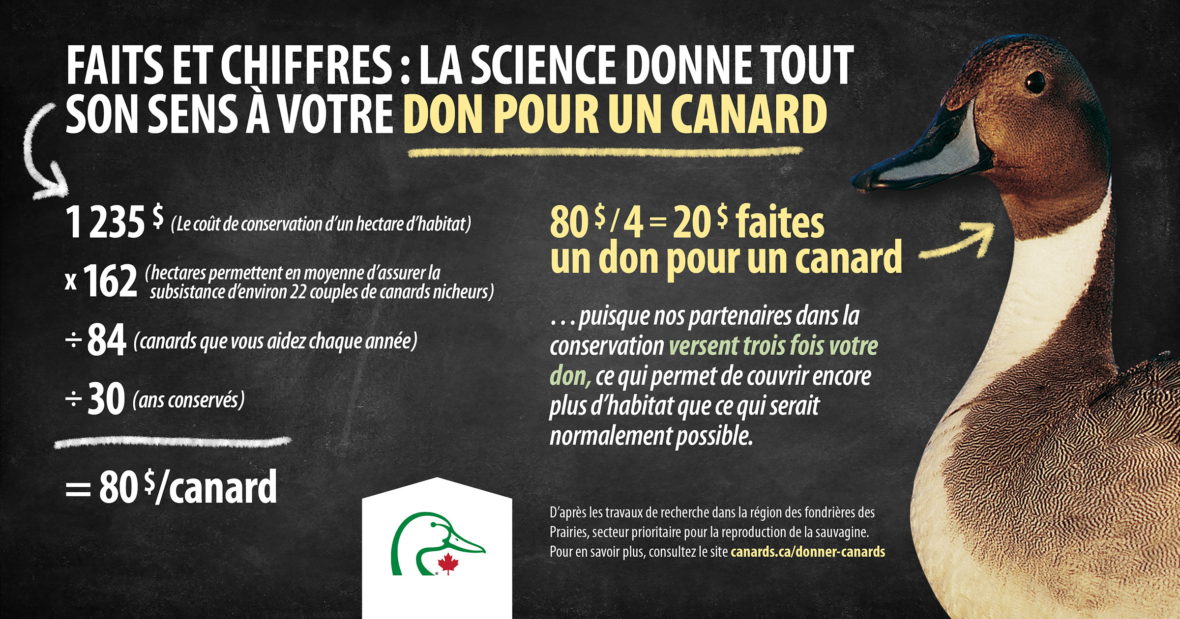 Faites un don de 20 $ seulement pour offrir un canard en cette période des fêtes.