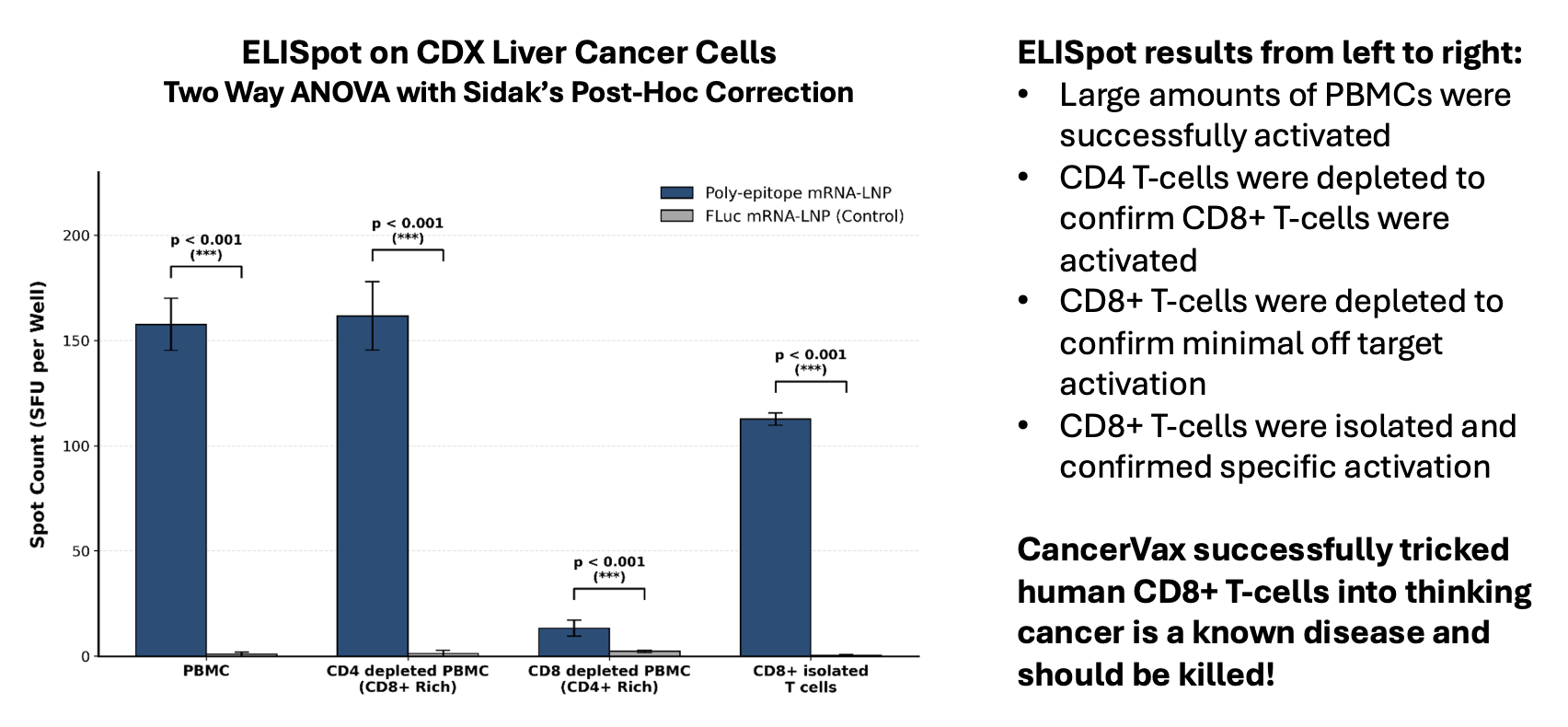 CancerVax Achieves Major Milestone in Activating Human Killer T-Cells Against Cancer