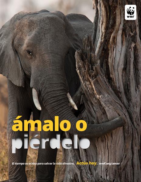 WWF's Ámalo o Piérdelo public service advertisement in Spanish