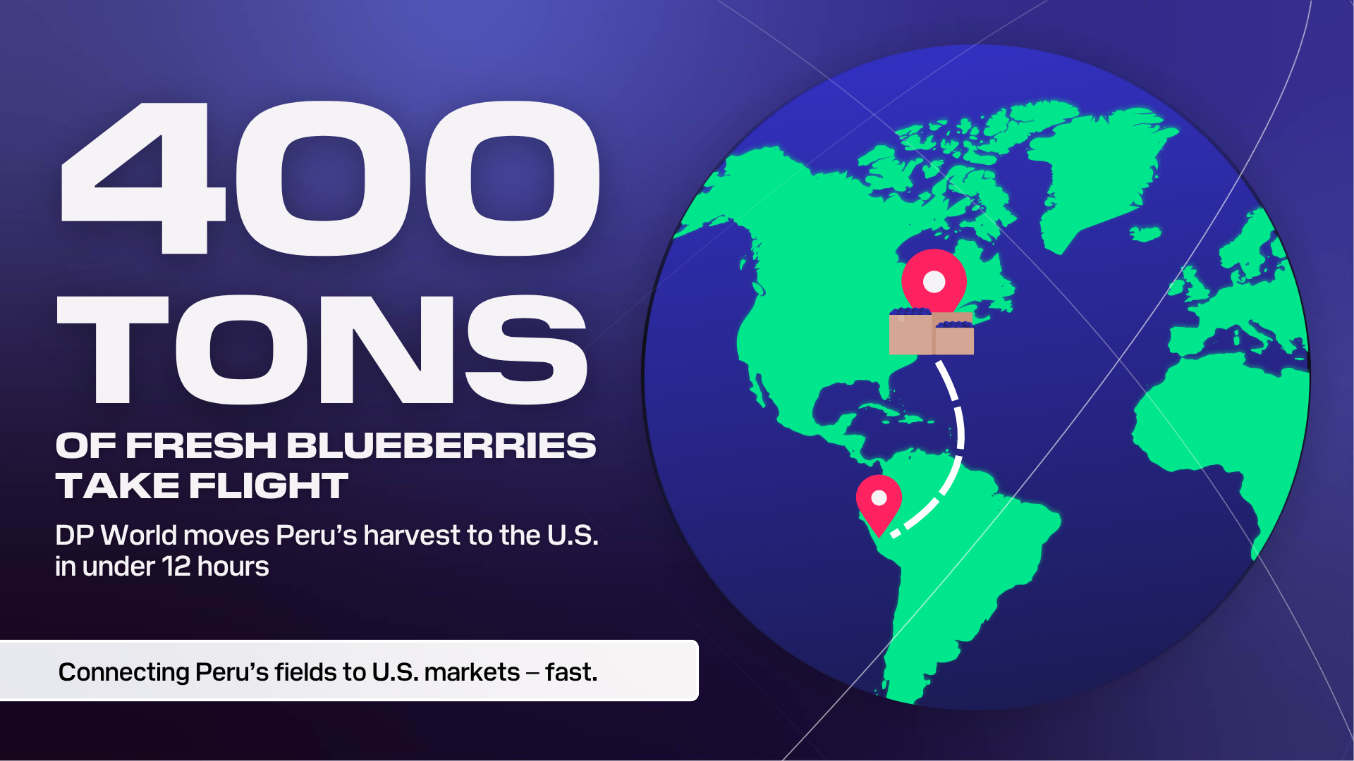 Infographic showing DP World’s air cargo route moving 400 tons of fresh blueberries from Peru to the United States in less than 12 hours.