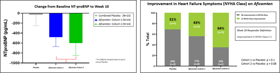 Change from Baseline in NT-proBNP and NYHA Class