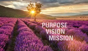 Netafilm - Purpose, Vision, Mission