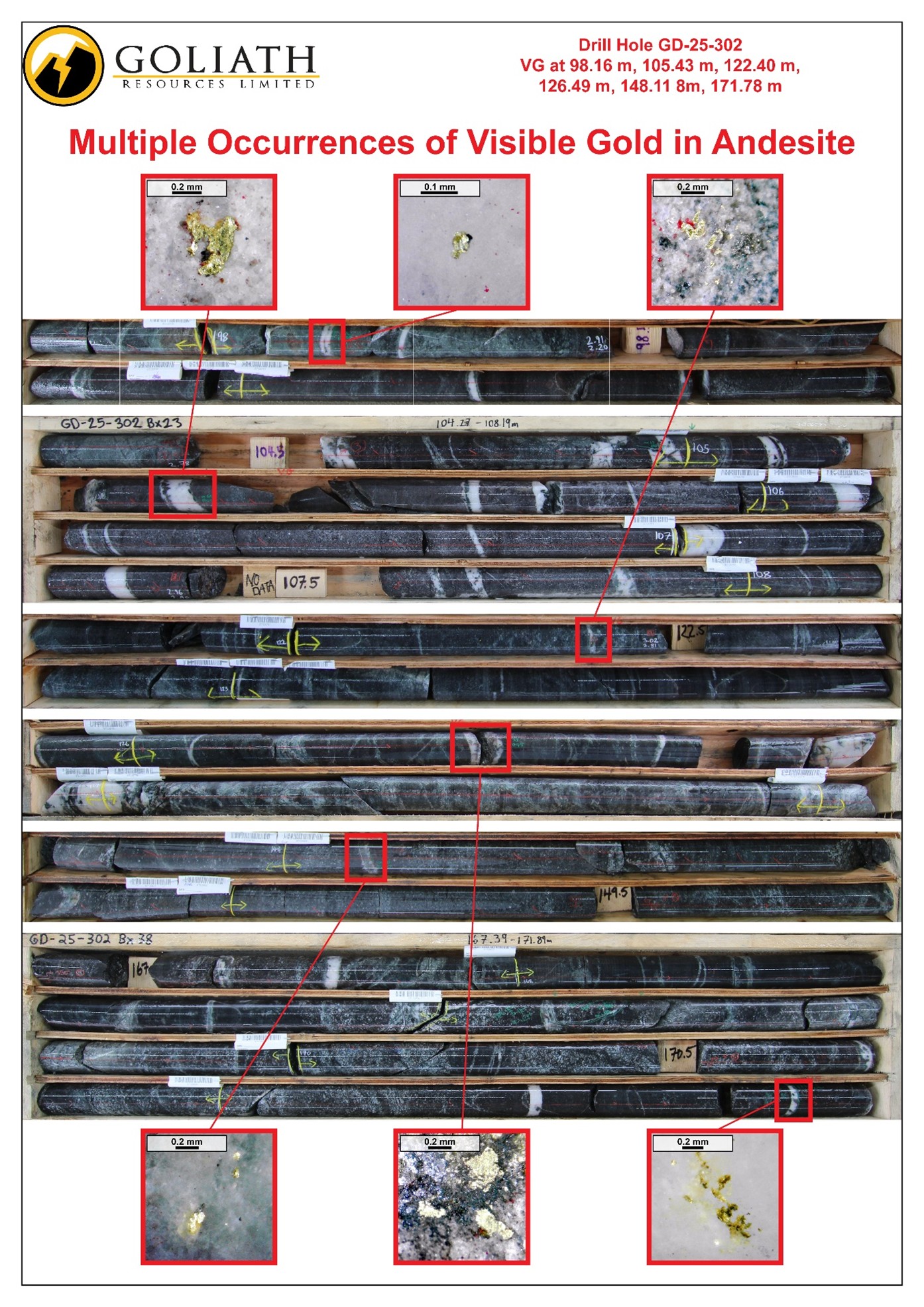 Infographic 2