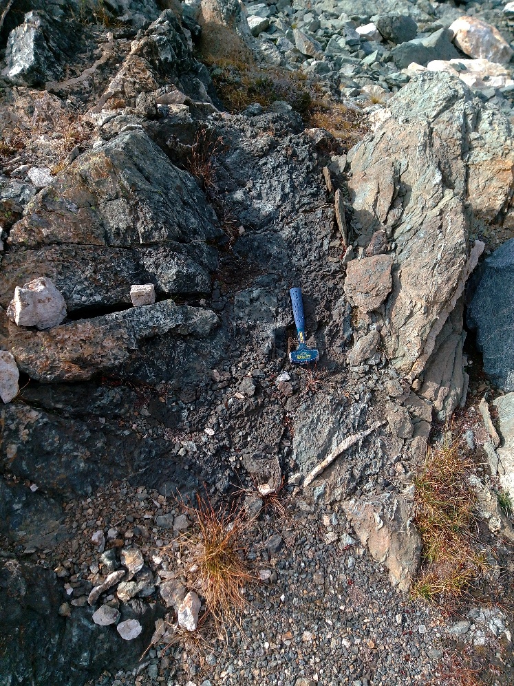 Figure 2 image
