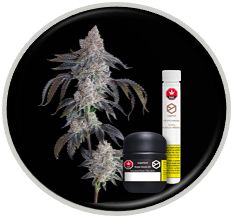 Sugarbud Craft Cannabis Collection