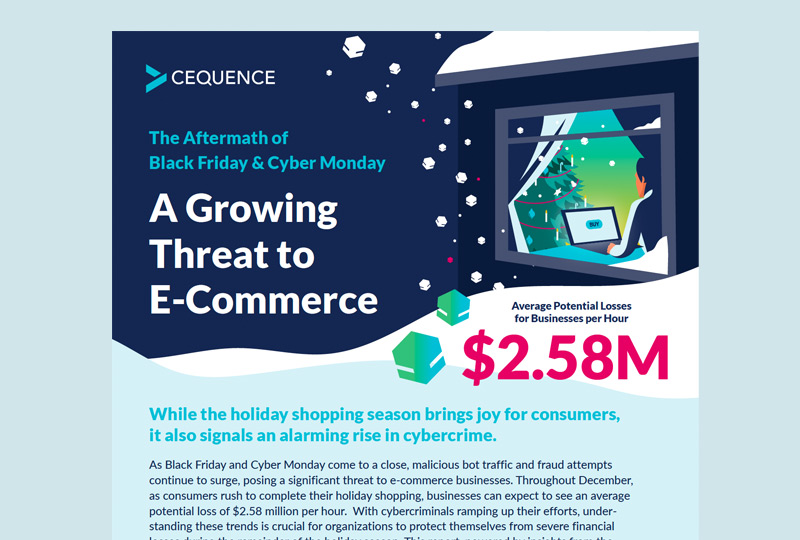 The Aftermath of Black Friday and Cyber Monday – A Growing Threat to E-Commerce