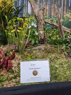 Humboldt Botanical Garden wins Silver Gilt