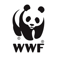 Nouvelle étude du WW