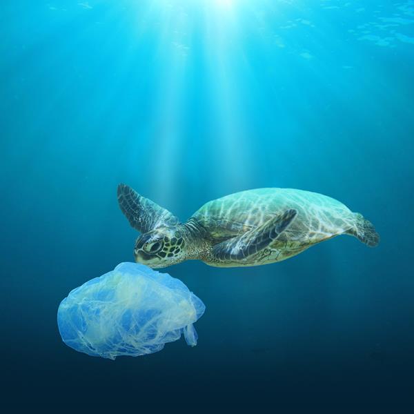 Oceana Canada_Plastic Free July