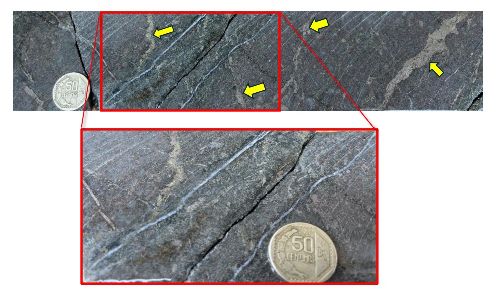 LM24DD002 @ 148 metres - Irregular Pyrrhotite- Chalcopyrite infill in biotite-altered diorite