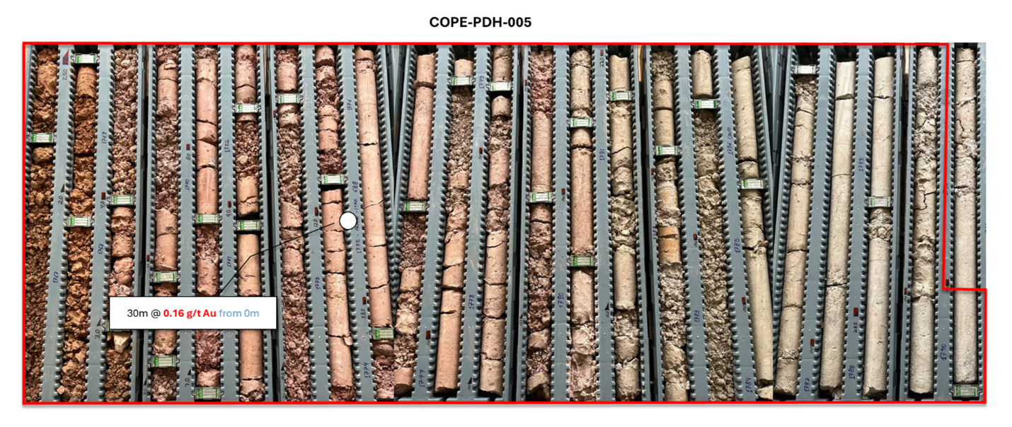 Figure 3 image