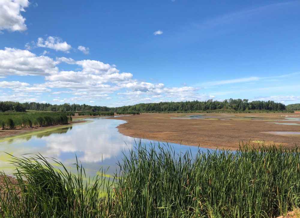 Main watercourse channel and mudflats at Wallace Bay, pre-construction © DUC