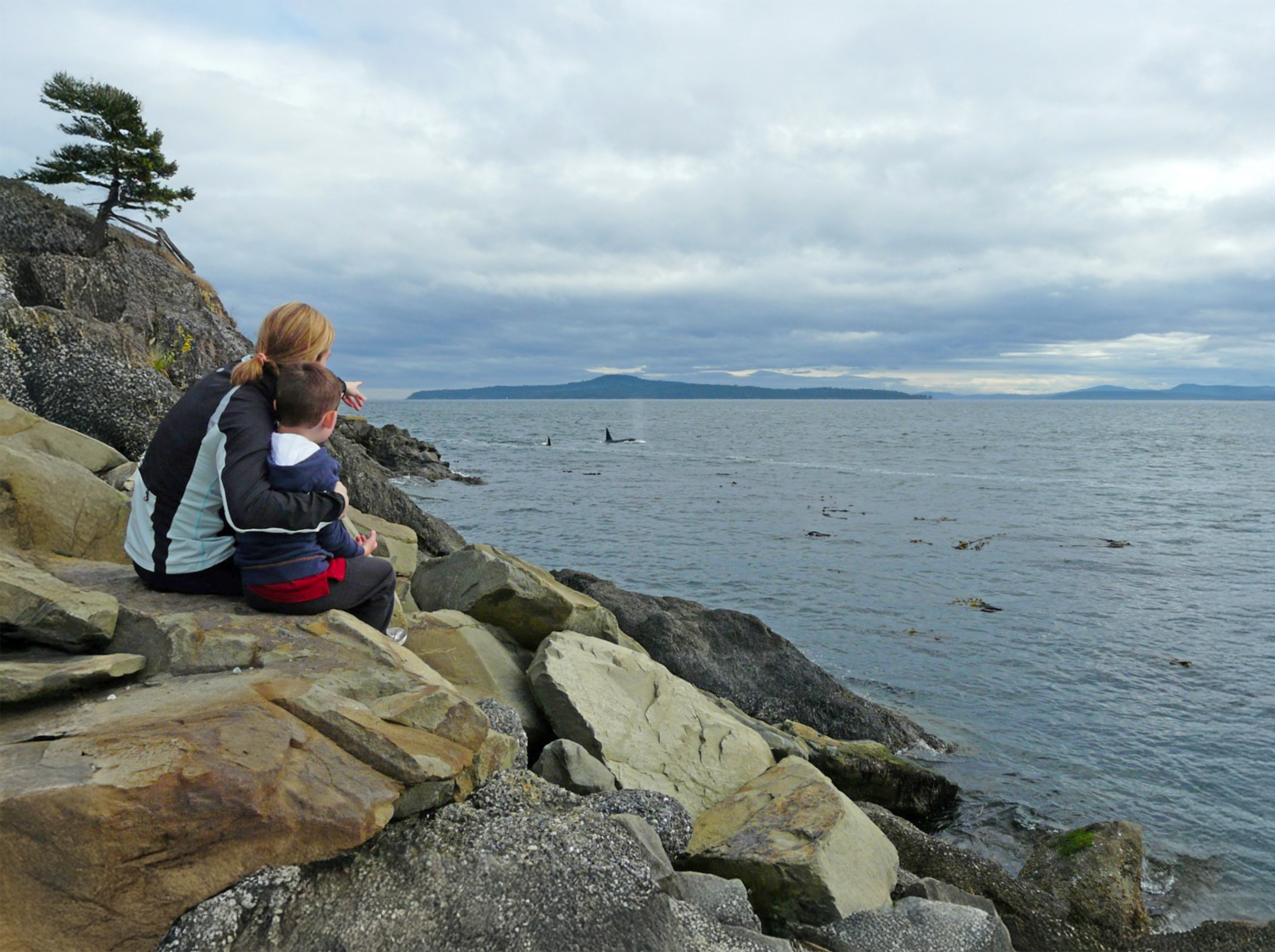 CitizenScience4_credit Ocean Wise