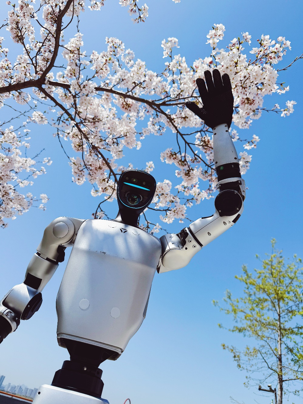 China Hangzhou's Binjiang Rising to Fame: Tech Innovation, Cultural Hits, and Talent Dreams in Synergy