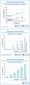 High levels of exon skipping were observed for PGN-EDO53 in NHPs, and for PGN-EDO45 and PGN-EDO44 in wild-type human myoblasts.