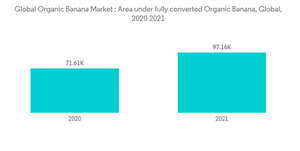 Organic Bananas Market Global Organic Banana Market Area Under Fully Converted Organic Banana Global 2020 2021