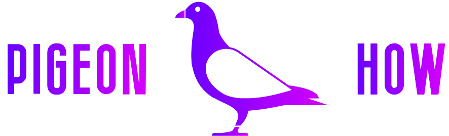 Pigeon HOW Logo.png