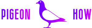 Pigeon HOW Logo.png