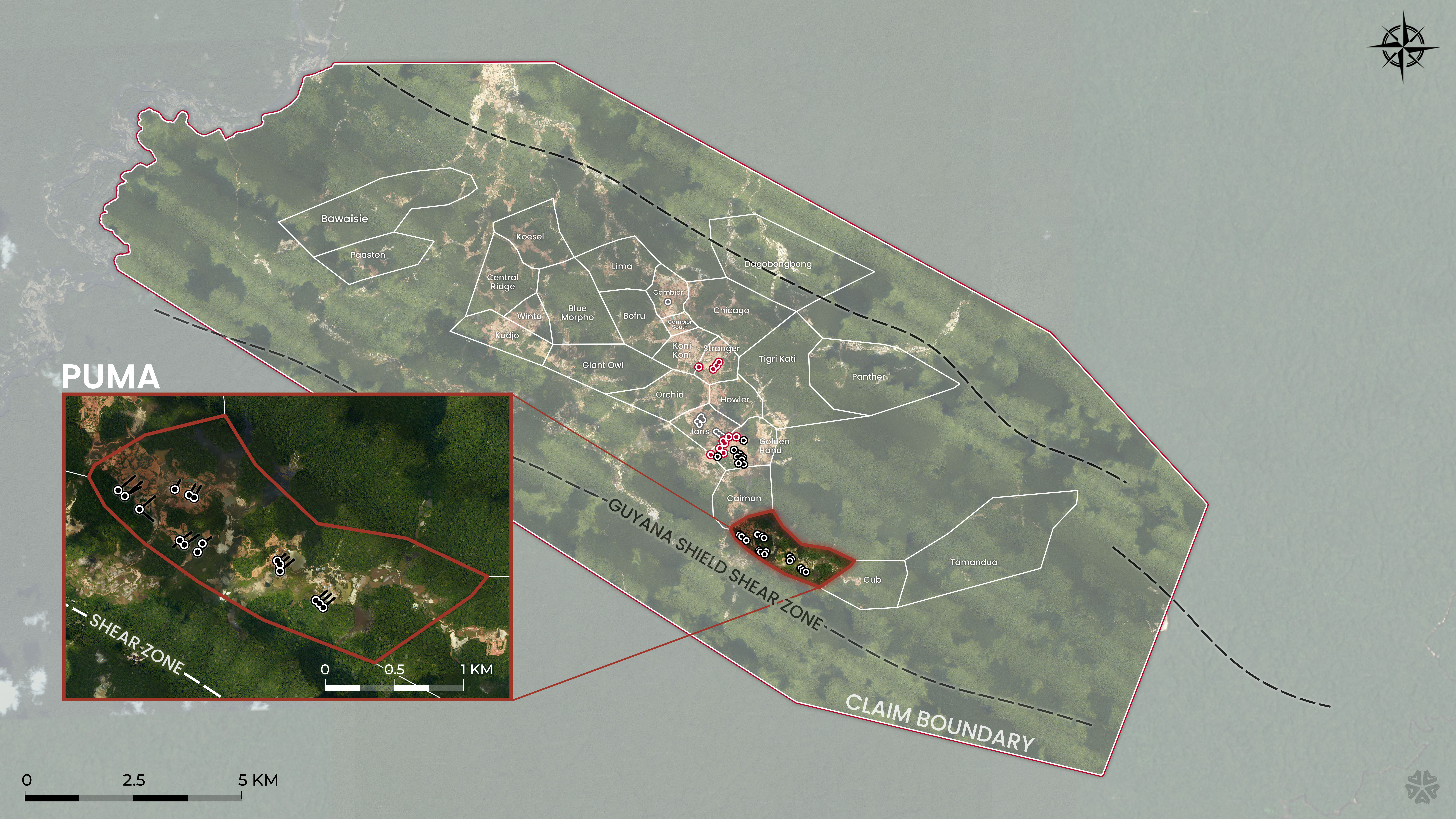 Figure 3. image