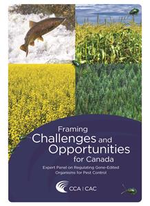 Framing Challenges and Opportunities for Canada