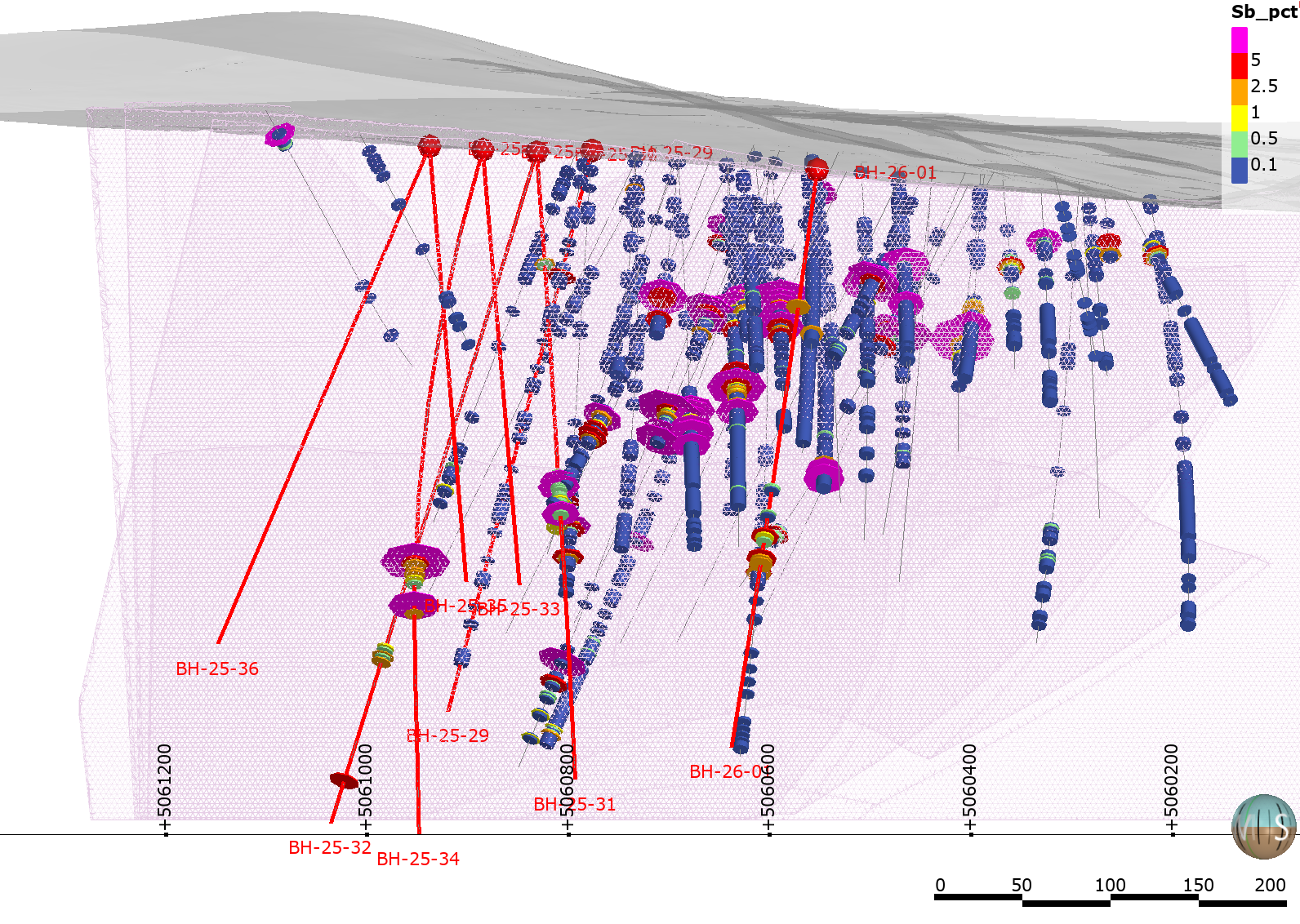 Long-Section Detail of the Bald Hill Main Zone image