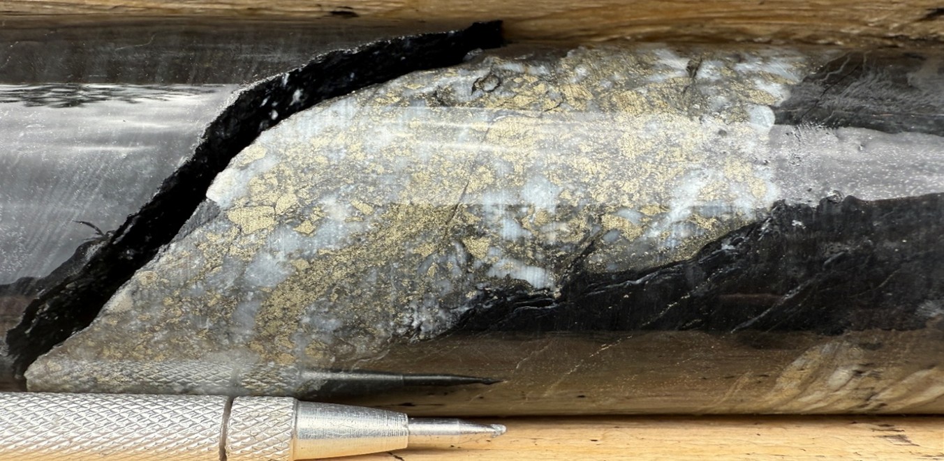Figure 2 image