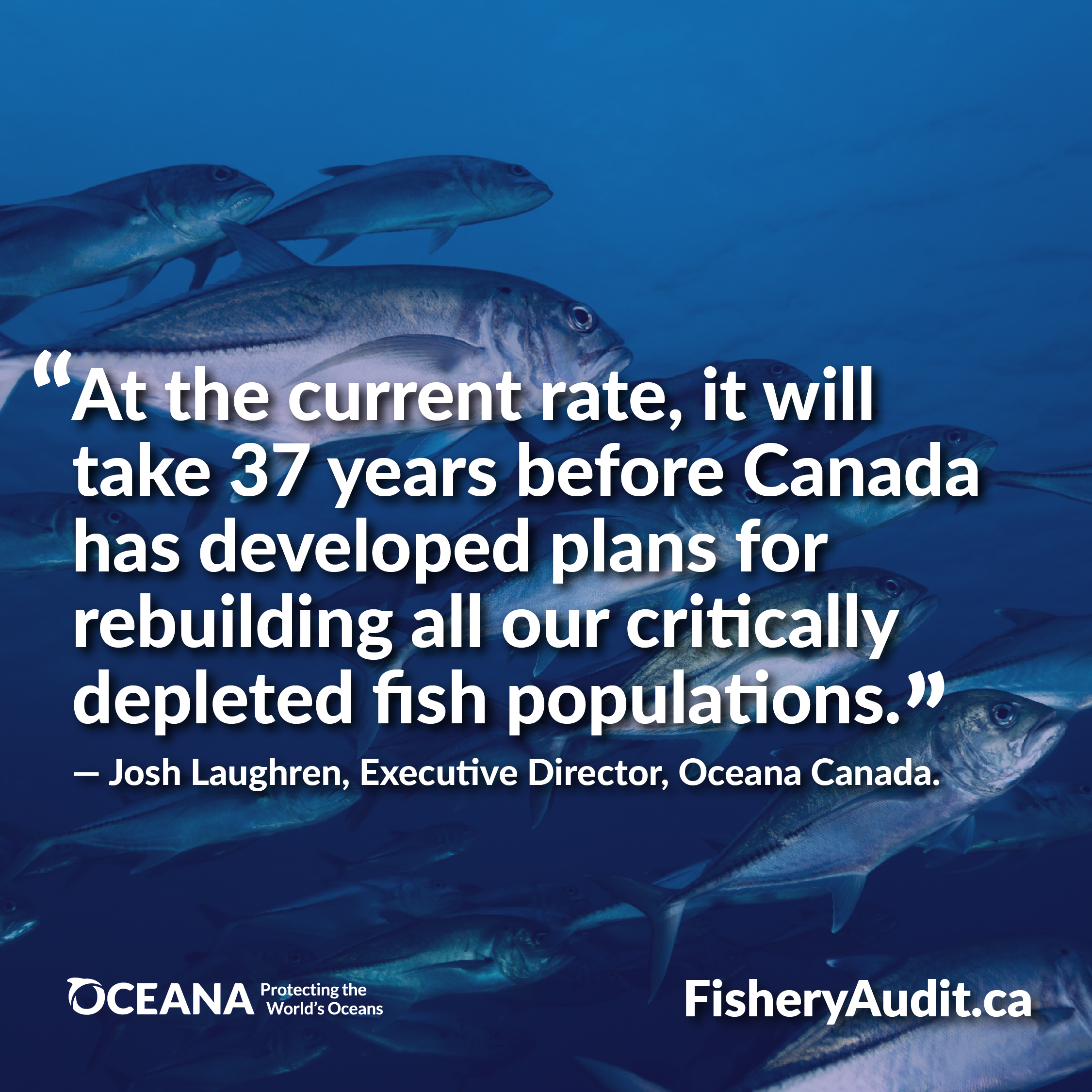 Oceana Canada Fishery Audit 2020