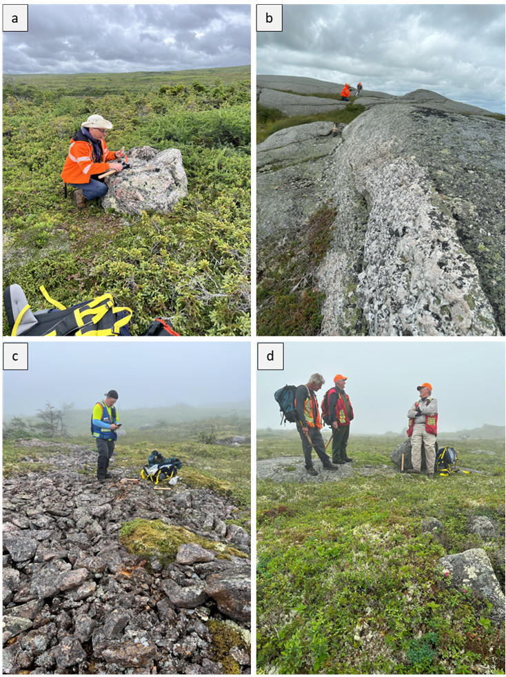 Figure 5: Geologists examining pegmatites and gossan zones. (a) Azincourt VP Exploration sampling pegmatite, (b) geologists examining long narrow pegmatite, (c) geologist on gossan zone in felsic dike, and (d) geologists and prospectors discussing lo