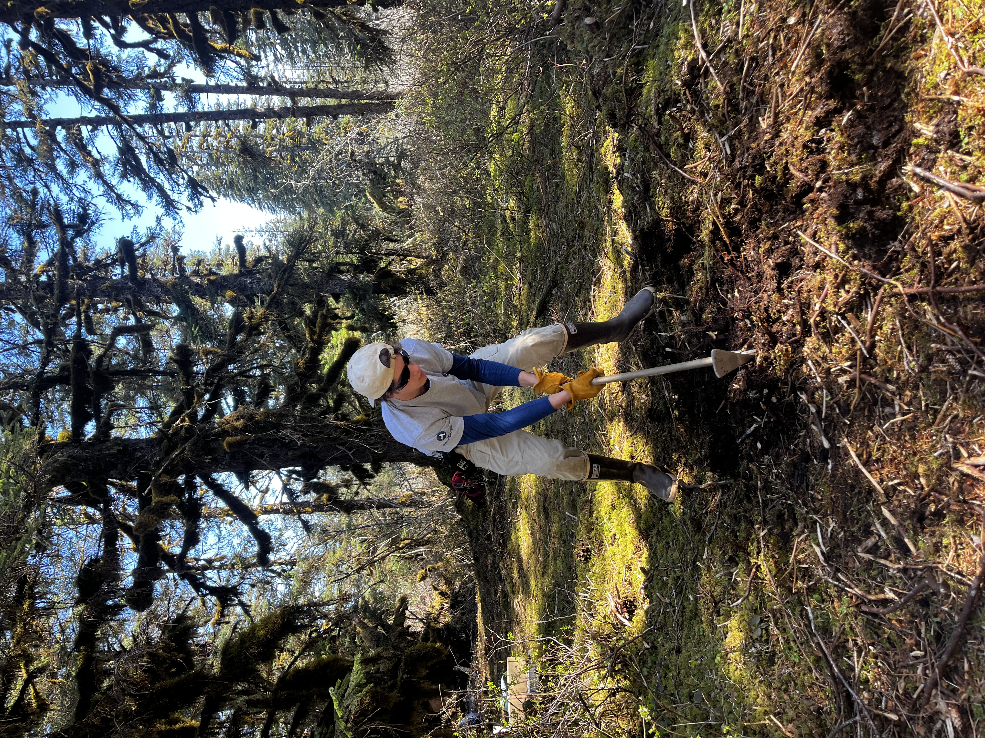 AmeriCorps member in action