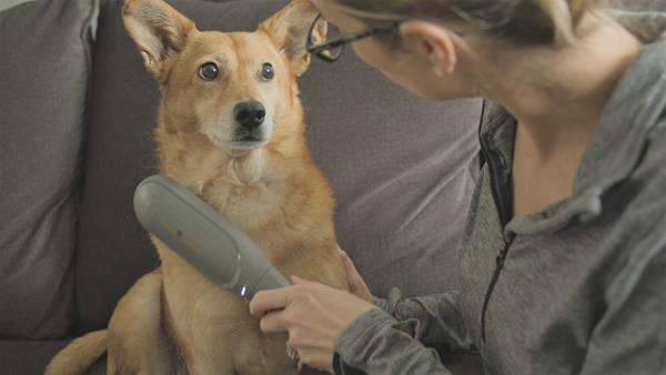 Introducing PAW WAVE, the World’s First High-Performance Pet Massager