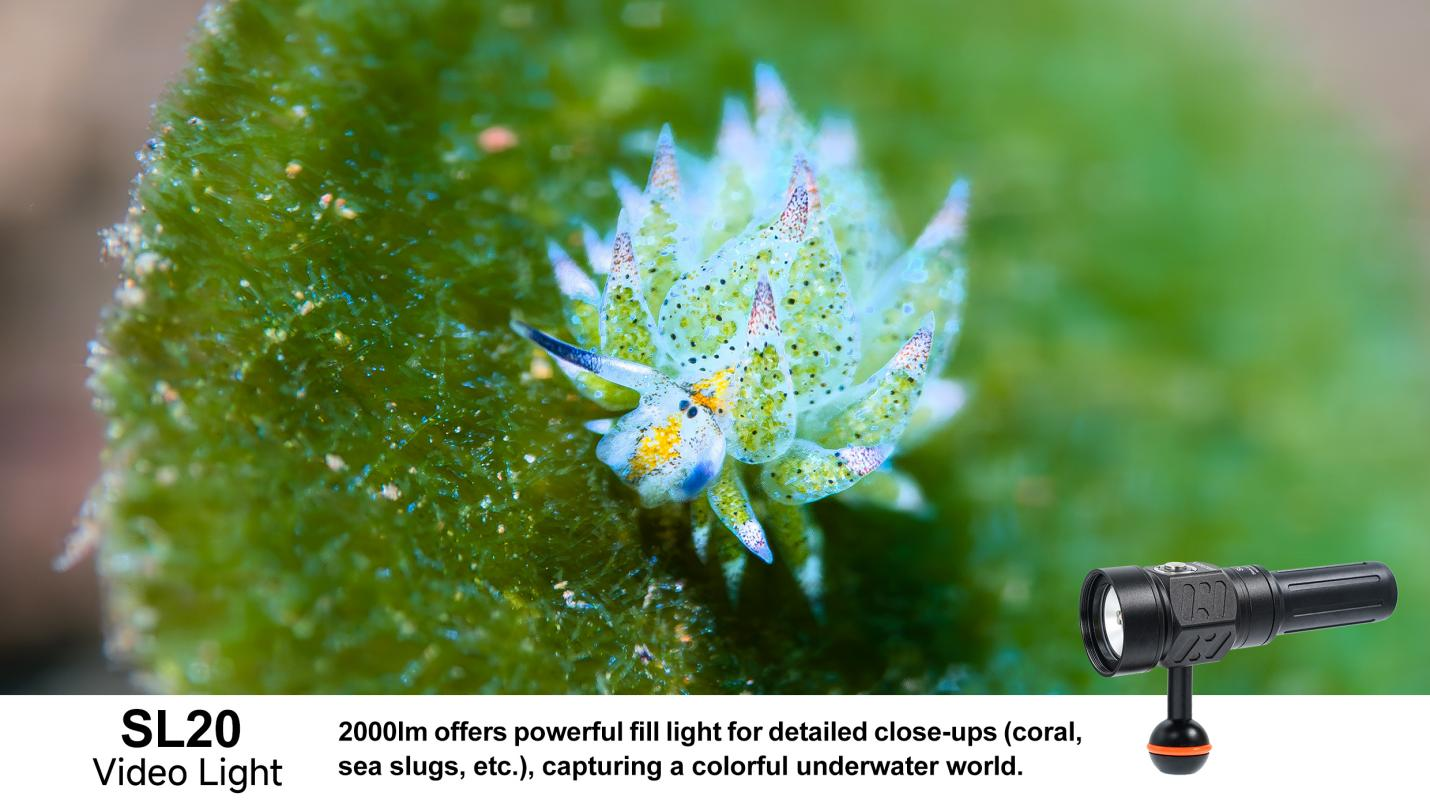 The Art category prize DIVEVOLK SL20 Dive Light (2,000 lumens)