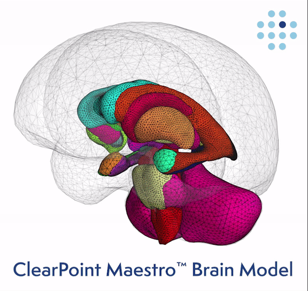 ClearPoint Maestro Brain Model