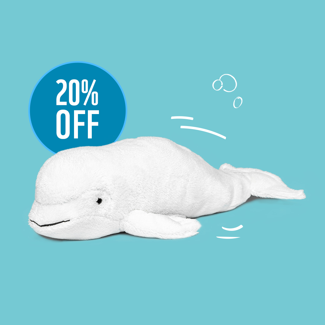 Save up to 20% off select adoption kits