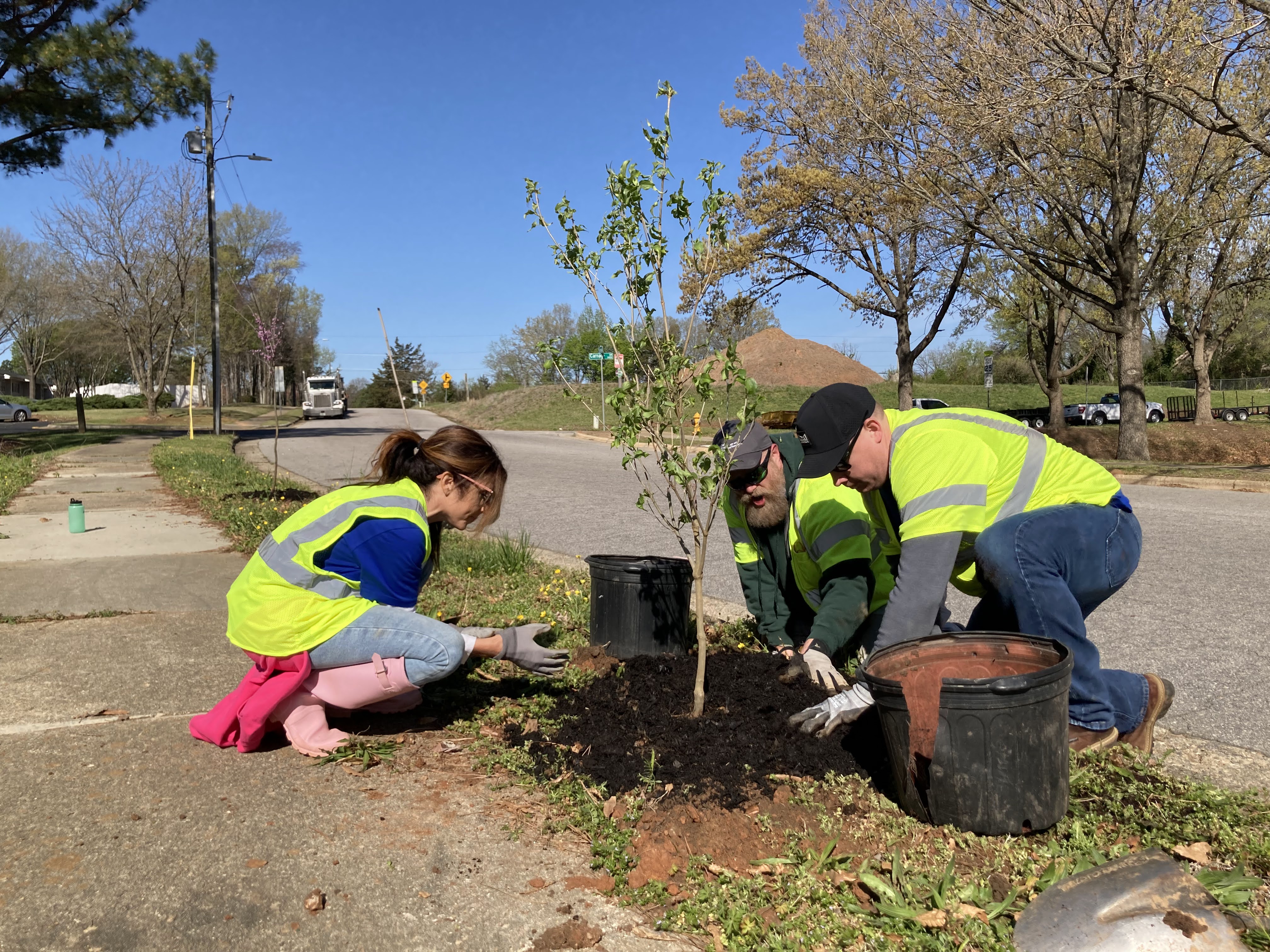 Earth Day press release - Raleigh Planting